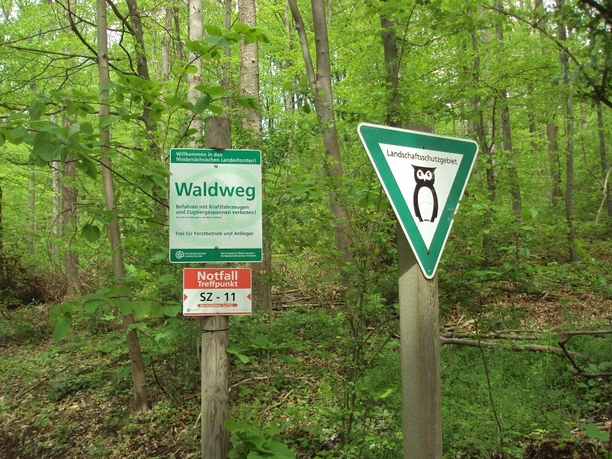 Salzgitter-Bad, Waldeingang Wanderweg 11 bei der Zufahrt zum MTV Sportgelände