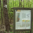 Infotafel Geopfad Salzgitter-Bad am Knotenpunkt der Wanderwege 11 und 12