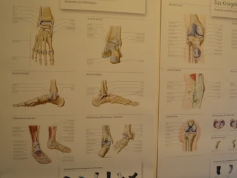 Carepoint - Orthopädietechnik in Mölln Carepoint - Orthopädietechnik in Mölln