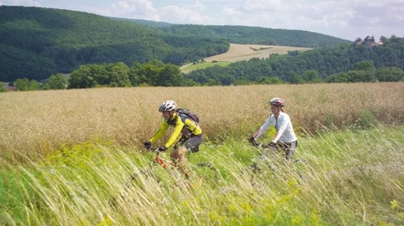 Herkules-Wartburg Radweg.JPG