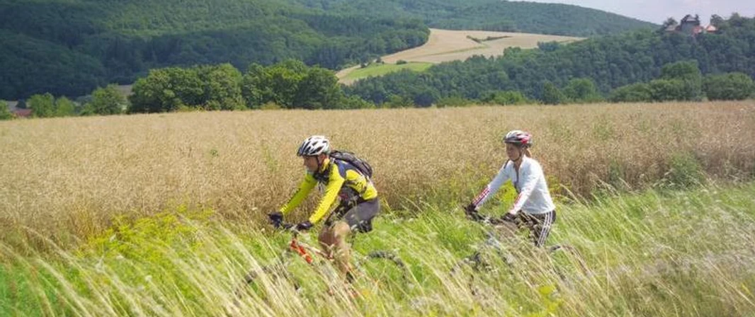 Herkules-Wartburg Radweg.JPG