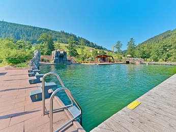 Naturbad Baiersbronn Mitteltal Becken Sprungfels Naturbad Baiersbronn Mitteltal Becken Sprungfels