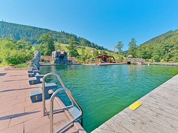 Naturbad Baiersbronn Mitteltal Becken Sprungfels Naturbad Baiersbronn Mitteltal Becken Sprungfels
