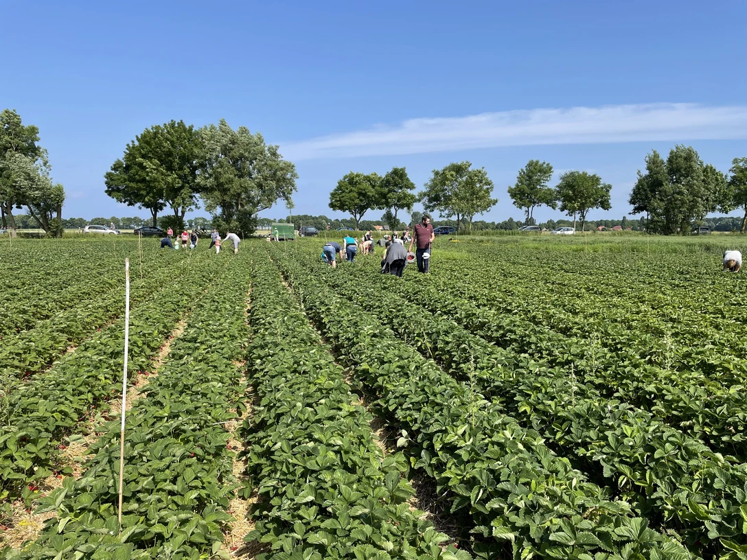 Zenker Gemüsehof.jpg