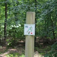 Ein Holzpfosten mit einer Nordic-Walking-Beschilderung steht im grünen Wald Sellingsloh.