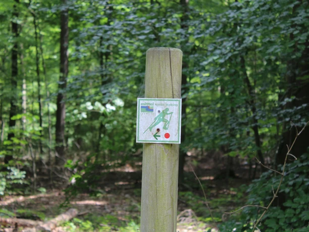 Een houten paal met Nordic Walking bewegwijzering staat in het groene Sellingsloh bos.