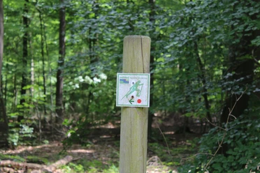 Sellingsloh Nordic Walking Ein Holzpfosten mit einer Nordic-Walking-Beschilderung steht im grünen Wald Sellingsloh.