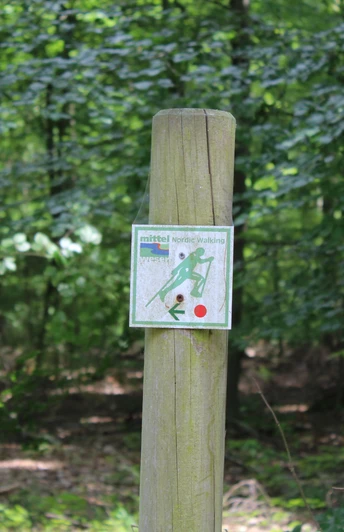 Sellingsloh Nordic Walking Ein Holzpfosten mit einer Nordic-Walking-Beschilderung steht im grünen Wald Sellingsloh.