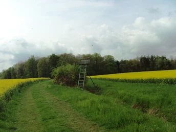 Salzgitter-Bad, Feldweg Wanderwege 12 und 18