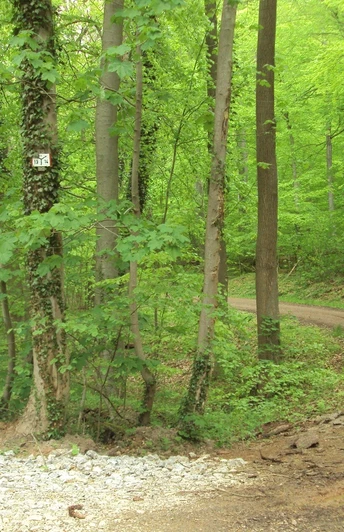 Salzgitter-Bad, Knotenpunkt Wanderwege 13 und 14