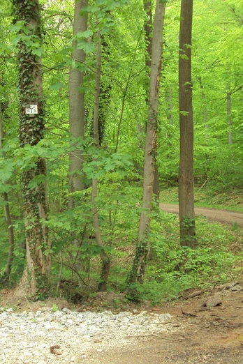 Salzgitter-Bad, Knotenpunkt Wanderwege 13 und 14