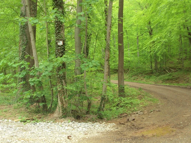 Salzgitter-Bad, Knotenpunkt Wanderwege 13 und 14