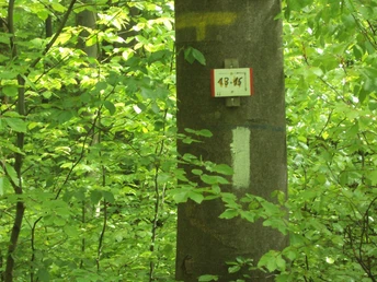 Salzgitter-Bad, Trampelpfadeingang Wanderwege 13 und 15 hinter der Forst-Wendeschleife