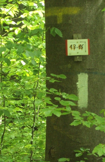 Salzgitter-Bad, Trampelpfadeingang Wanderwege 13 und 15 hinter der Forst-Wendeschleife