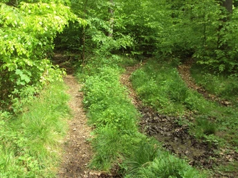 Salzgitter-Bad, Trampelpfad Wanderwege 13 und 15