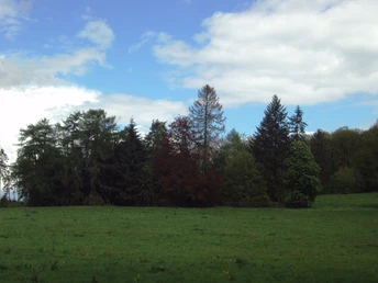 Salzgitter-Bad, Lichtung Wanderweg 13 und 15