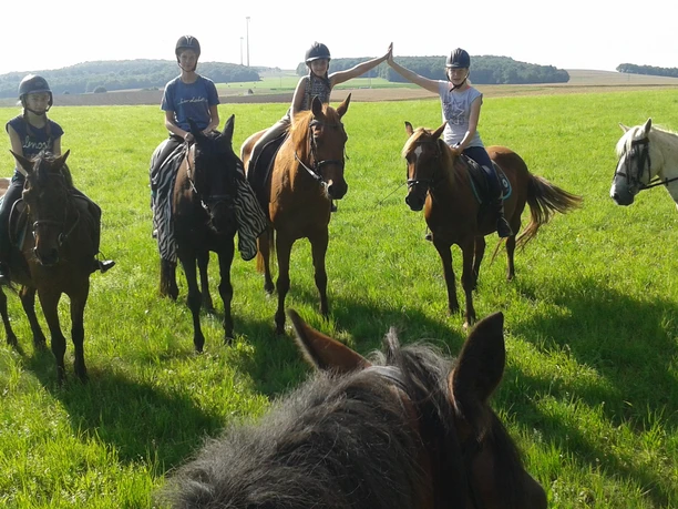 Rabenschlader Hof Eine Gruppe junger Reiter auf unterschiedlichen Pferden, die auf einer grünen Wiese nebeneinander stehen.