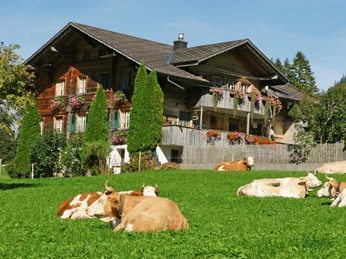 Two-family house Obermattli