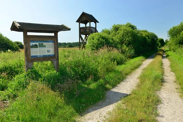 Hinweistafel und Aussichtsturm im Drömling Hinweistafel und Aussichtsturm im Drömling