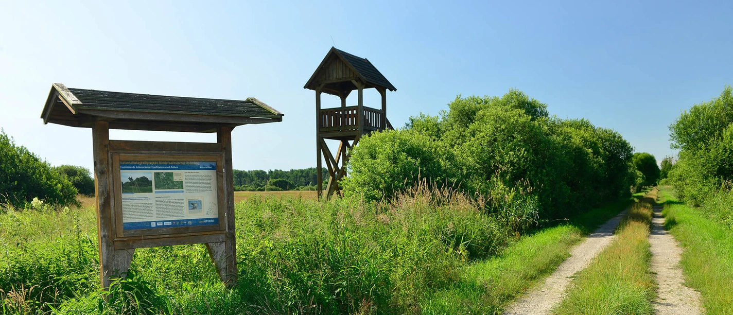 Hinweistafel und Aussichtsturm im Drömling Hinweistafel und Aussichtsturm im Drömling