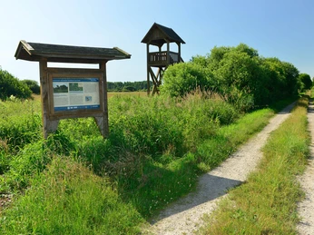 Hinweistafel und Aussichtsturm im Drömling Hinweistafel und Aussichtsturm im DrömlingInformation board and observation tower in the DrömlingInformationstavle og udsigtstårn i DrömlingInformatiebord en uitkijktoren in de Drömling