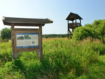Hinweistafel und Aussichtsturm im Drömling bei Kaiserwinkel Hinweistafel und Aussichtsturm im Drömling bei KaiserwinkelInformation board and observation tower in the Drömling near KaiserwinkelInformationstavle og udsigtstårn i Drömling nær KaiserwinkelInformatiebord en uitkijktoren in de Drömling bij Kaiserwinkel