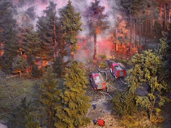 Waldbrand im Schienenbereich Rauch steigt aus einem brennenden Wald auf, während Feuerwehrfahrzeuge und Einsatzkräfte tätig sind.