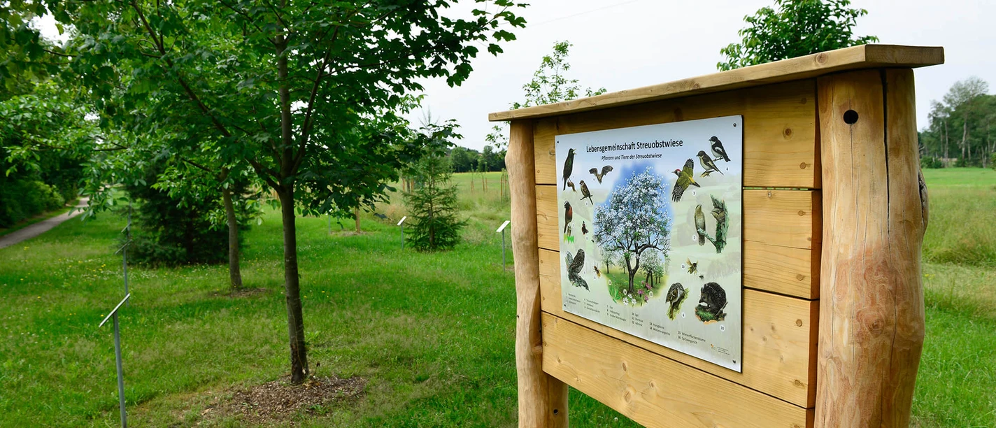 Boomgaardweide bij Wesendorf in de Südheide Gifhorn