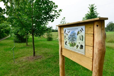 Streuobstwiese in der Nähe von Wesendorf in der Südheide Gifhorn Streuobstwiese in der Nähe von Wesendorf in der Südheide Gifhorn