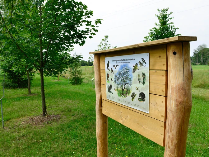Streuobstwiese in der Nähe von Wesendorf in der Südheide Gifhorn Streuobstwiese in der Nähe von Wesendorf in der Südheide Gifhorn