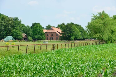 Manege bij Wesendorf in de Südheide Gifhorn