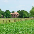 Reiterhof in der Nähe von Wesendorf in der Südheide Gifhorn