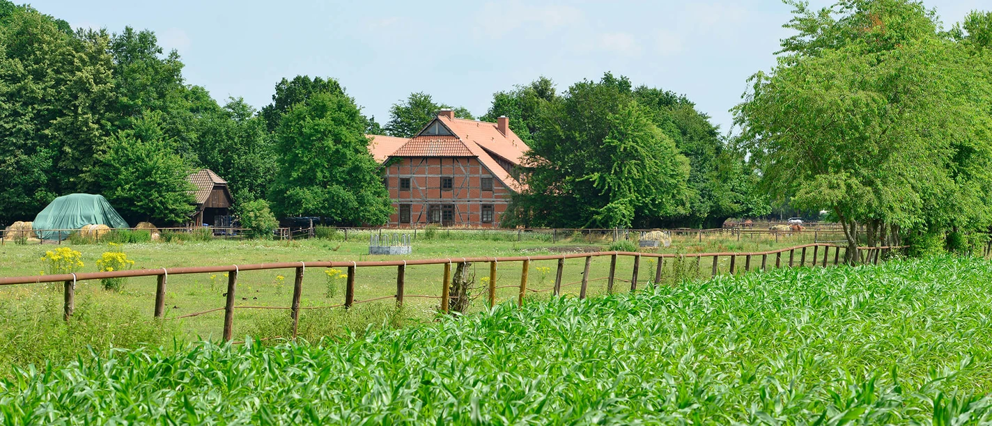 Manege bij Wesendorf in de Südheide Gifhorn