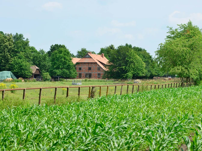 Reiterhof in der Nähe von Wesendorf in der Südheide GifhornCC0 FB Naturtour_Pferdehof1.jpg Reiterhof in der Nähe von Wesendorf in der Südheide Gifhorn