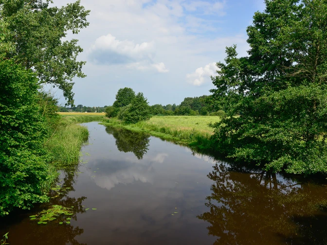 Die Kuhbrücke in der Nähe von Gamsen an der Ise in der Südheide Gifhorn