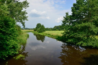 CC0 FBDie Kuhbrücke in der Nähe von Gamsen an der Ise in der Südheide Gifhorn_Ise Kuhbrücke.jpg Die Kuhbrücke in der Nähe von Gamsen an der Ise in der Südheide Gifhorn