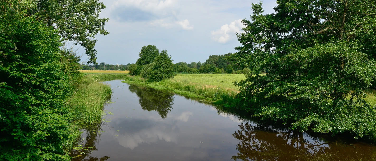CC0 FBDie Kuhbrücke in der Nähe von Gamsen an der Ise in der Südheide Gifhorn_Ise Kuhbrücke.jpg Die Kuhbrücke in der Nähe von Gamsen an der Ise in der Südheide Gifhorn