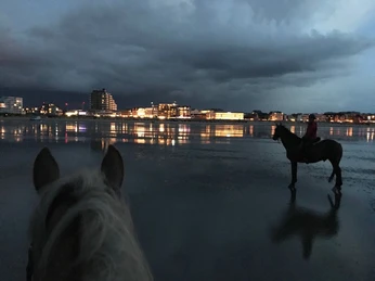 Ferienhof Hubertus-3.jpg