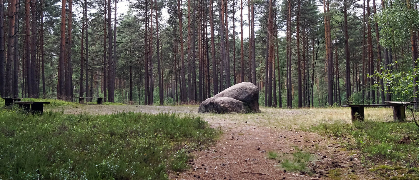 Bickelstein.jpg Bickelstein