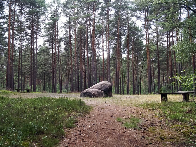 Bickelstein.jpg Bickelstein