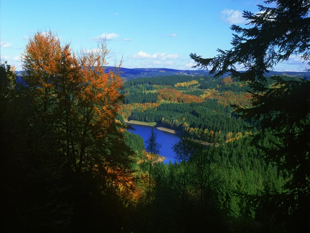 Genkeltalsperre im Herbst Blick auf herbstlich gefärbten Wald und einen blauen See, umrahmt von Tannen im Vordergrund.
