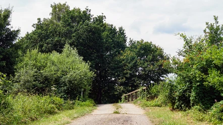 Isebrücke Heidjerpfad Wahrenholz Süd.jpg Isebrücke Heidjerpfad Wahrenholz Süd.jpg