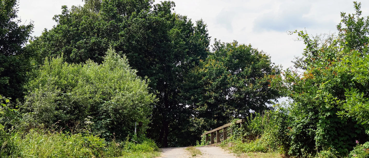 Isebrücke Heidjerpfad Wahrenholz Süd.jpg Isebrücke Heidjerpfad Wahrenholz Süd.jpg
