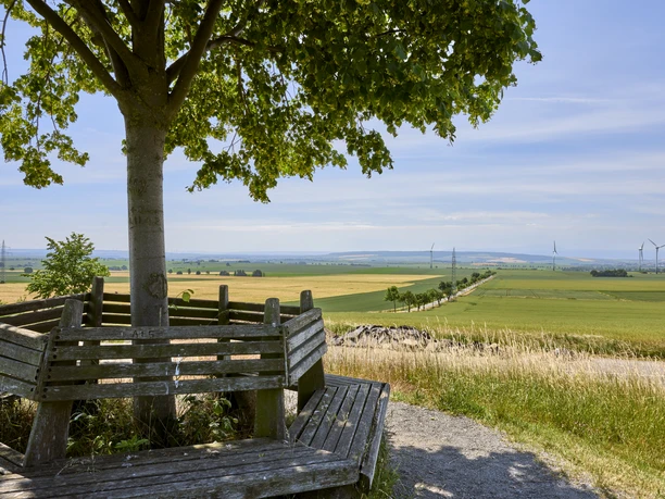 Tumulus auf dem Meescheberg in Klein Vahlberg Tumulus auf dem Meescheberg in Klein Vahlberg