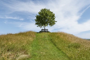 Tumulus auf dem Meescheberg in Klein Vahlberg Tumulus auf dem Meescheberg in Klein Vahlberg