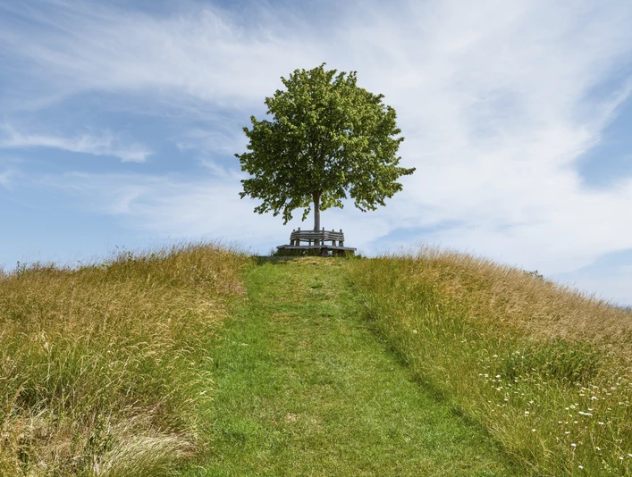 Tumulus auf dem Meescheberg in Klein Vahlberg Tumulus auf dem Meescheberg in Klein Vahlberg
