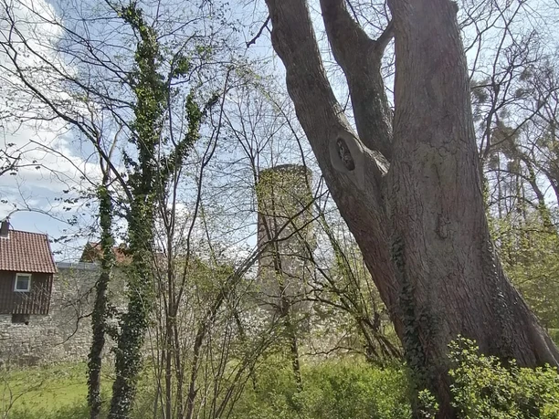 Krähengraben mit Storchenturm Krähengraben mit Storchenturm