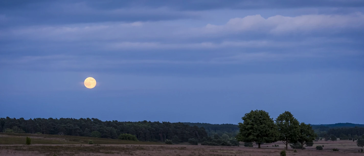 Vollmondwanderung auf dem Heidschnuckenweg - Niederhaverbeck