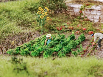 Gemüsegarten Zwei Personen pflegen ein üppig bewachsenes Gemüsebeet, umgeben von Sonnenblumen und grüner Natur.