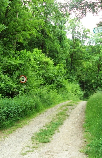 Salzgitter-Gebhardshagen, Startpunkt Wanderweg 17 Waldeingang